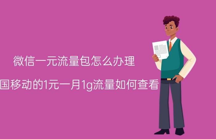 微信一元流量包怎么办理 中国移动的1元一月1g流量如何查看？